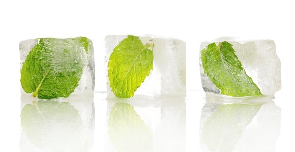 http://www.lindos.bm/wp-content/uploads/2012/08/Mint-in-ice-cubes.jpg